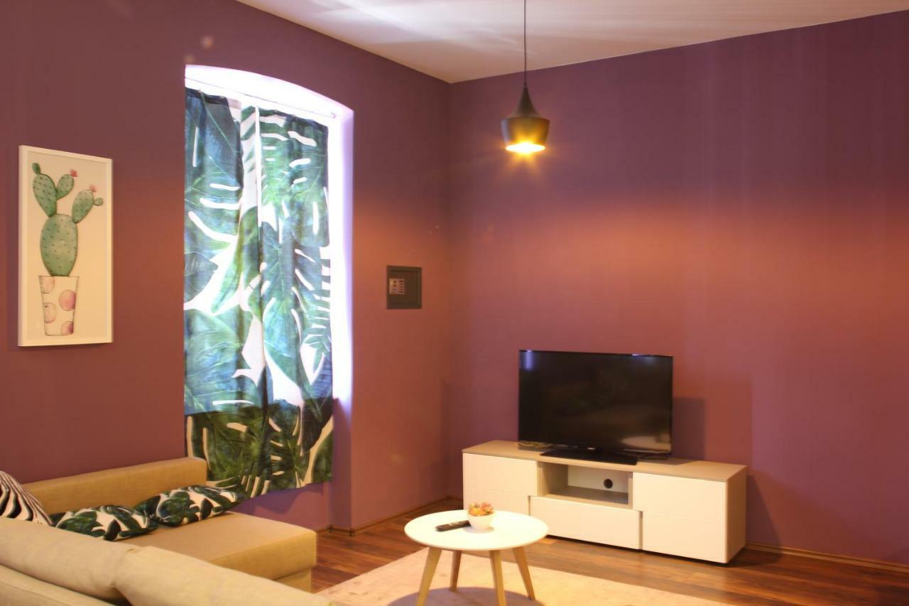 Cozy In Center Of Apartment Rijeka